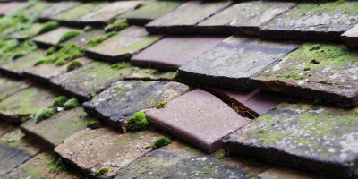 Pantyffynnon roof repair costs